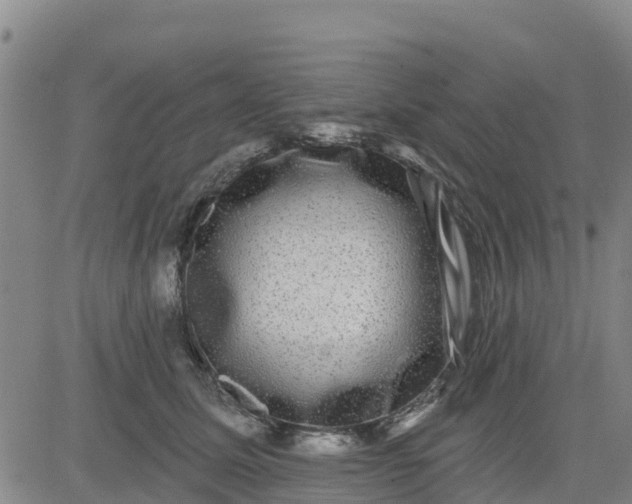 X0000080690611200612301451