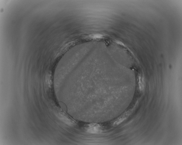 X0000080690612200612301451