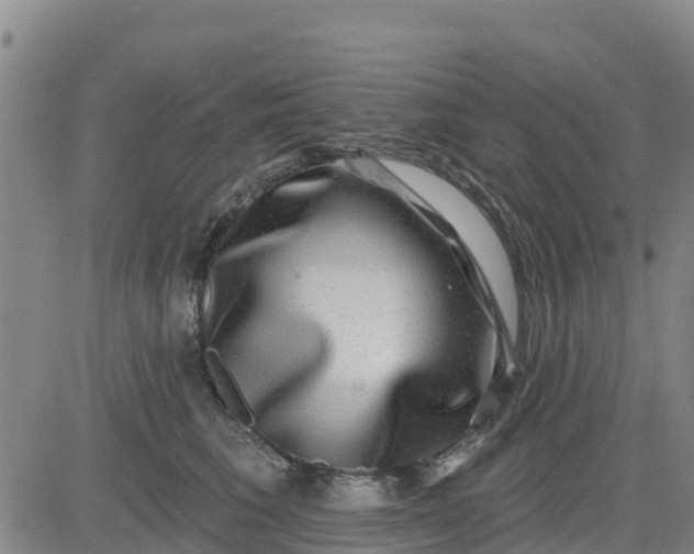 X0000080690613200612301451