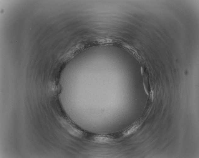 X0000080690614200612301451