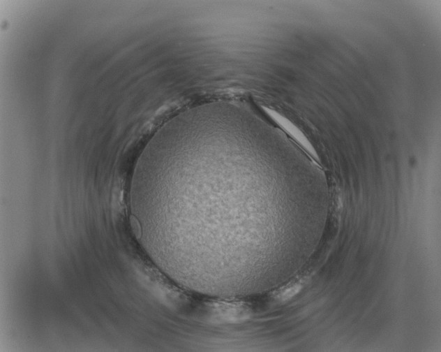 X0000080690615200612301451