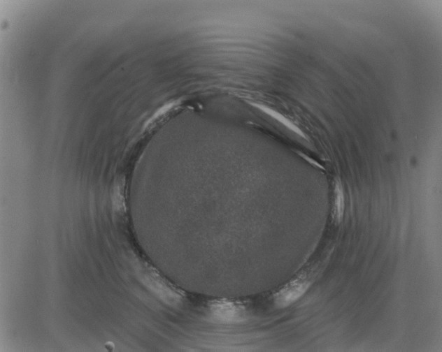 X0000080690616200612301451