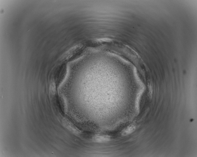 X0000080690617200612301451