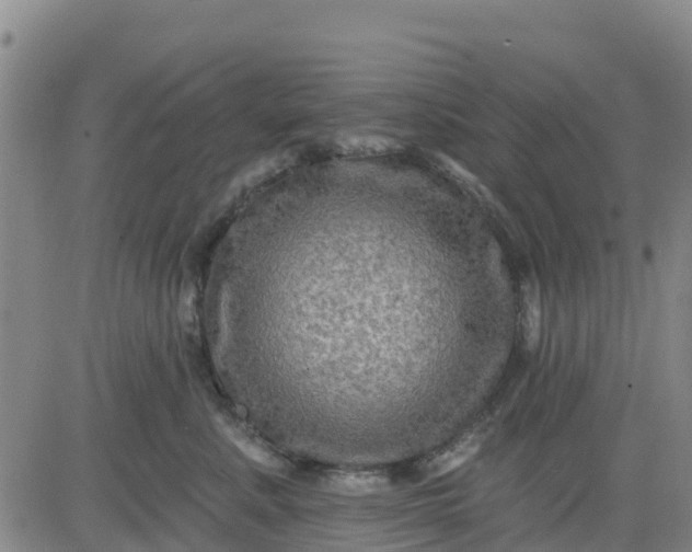 X0000080690619200612301451