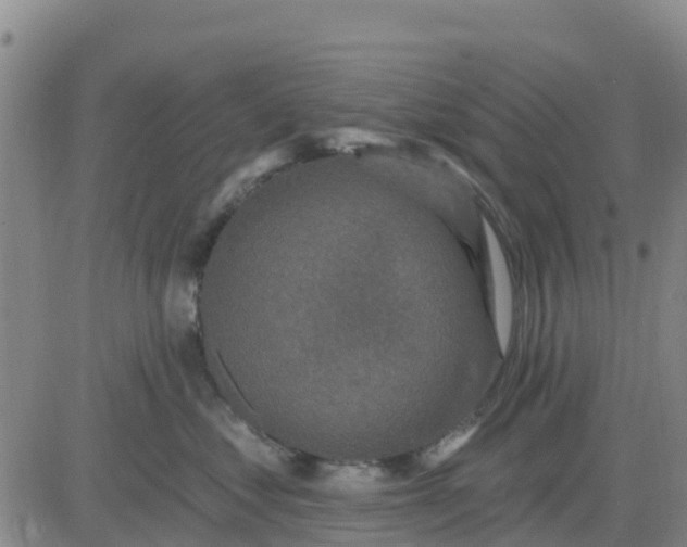 X0000080690621200612301451