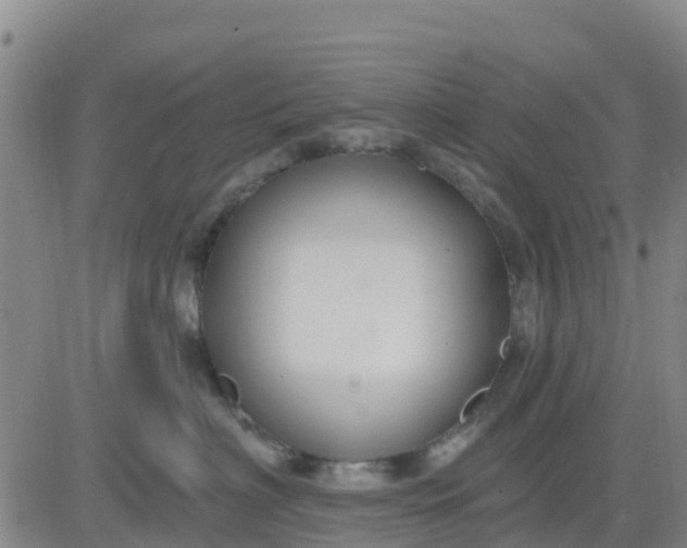 X0000080690622200612301451