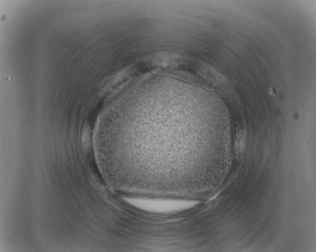 X0000080690623200612301451