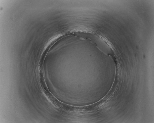 X0000080690626200612301450