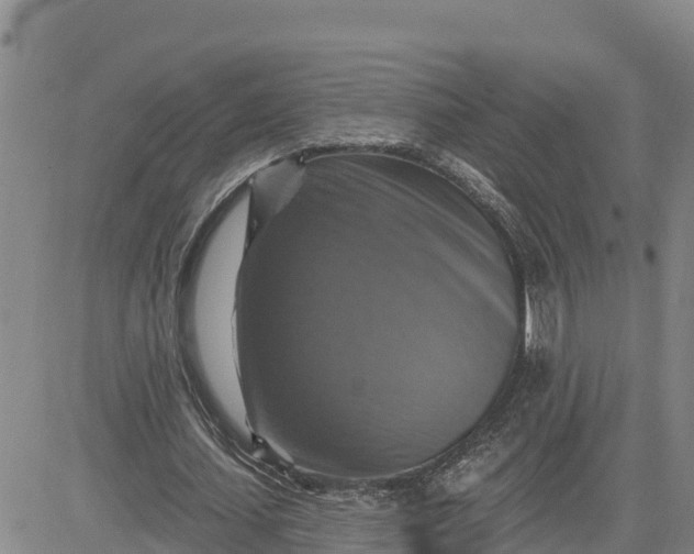 X0000080690627200612301450