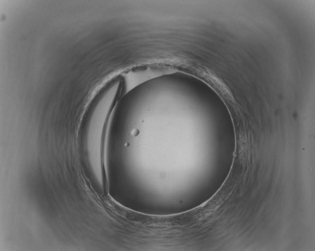 X0000080690628200612301450