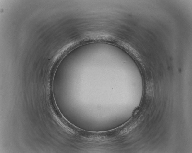 X0000080690629200612301450