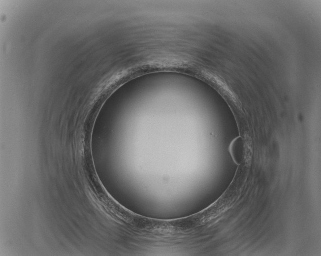 X0000080690631200612301450