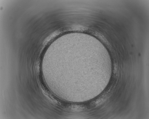 X0000080690632200612301450