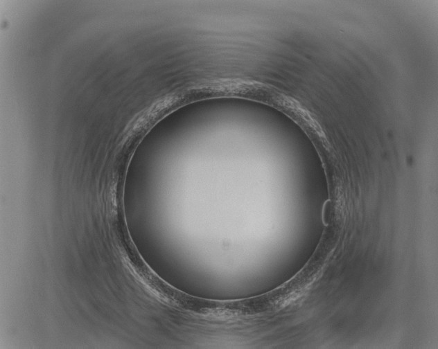 X0000080690633200612301450