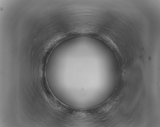 X0000080690635200612301450