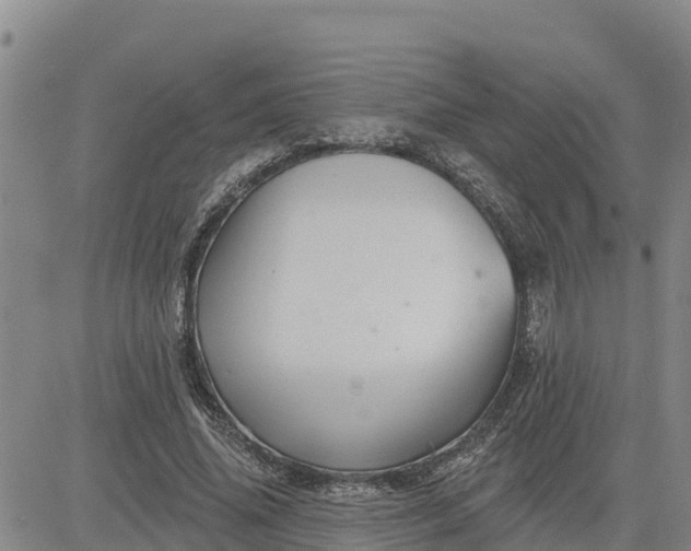 X0000080690636200612301450