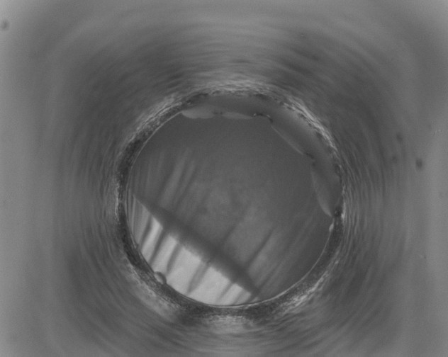 X0000080690637200612301450