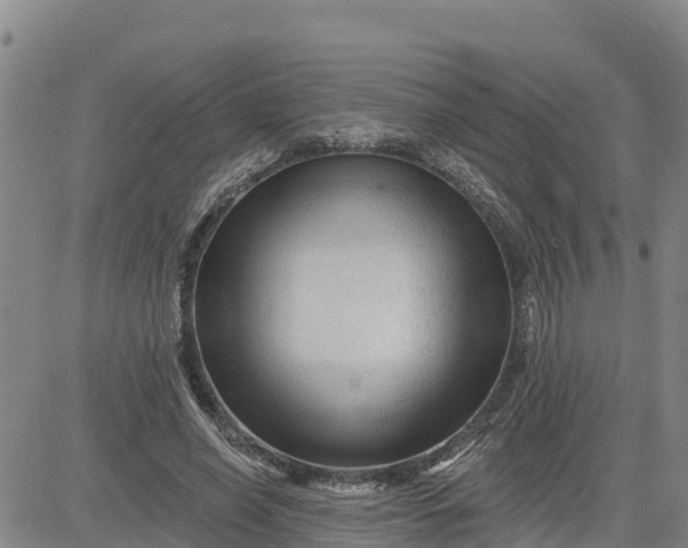 X0000080690638200612301450