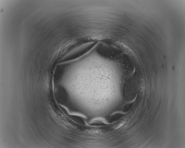 X0000080690639200612301450