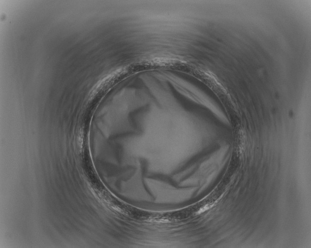 X0000080690640200612301450