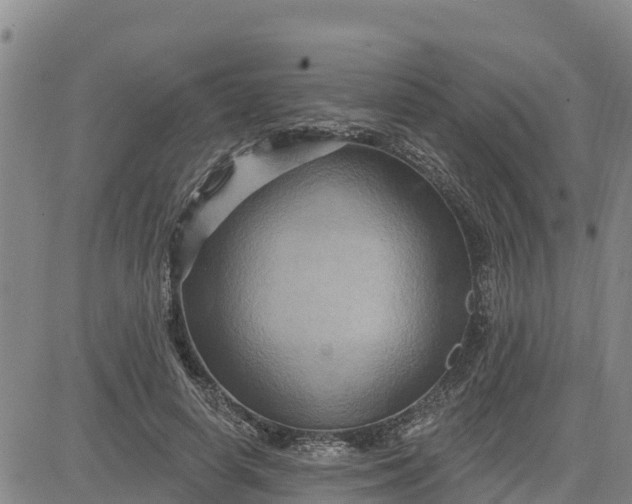 X0000080690642200612301450