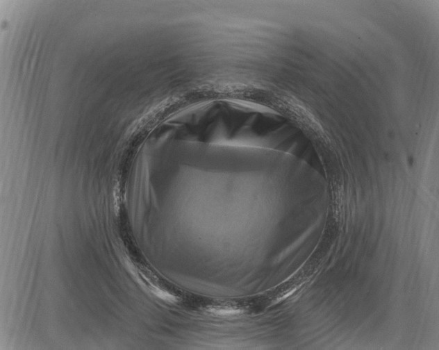 X0000080690644200612301450