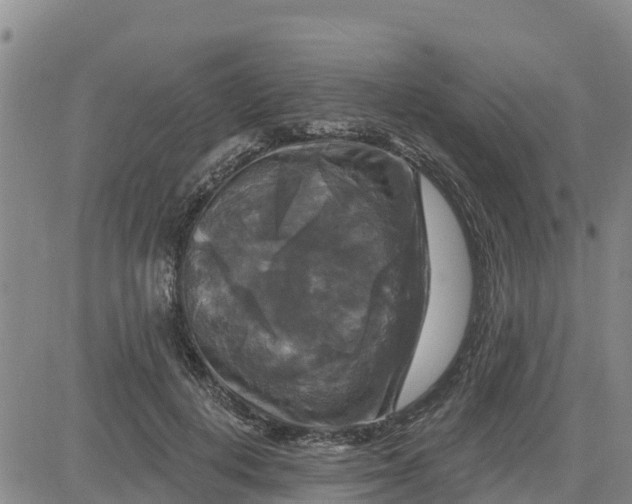 X0000080690648200612301450