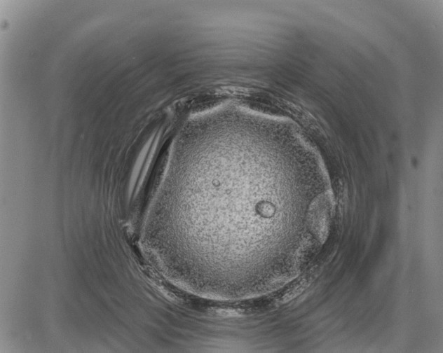 X0000080690649200612301450