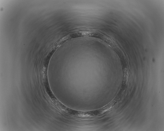 X0000080690650200612301450