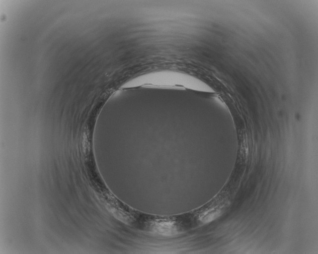 X0000080690651200612301450