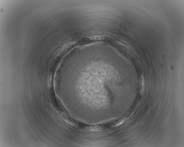 X0000080690652200612301450