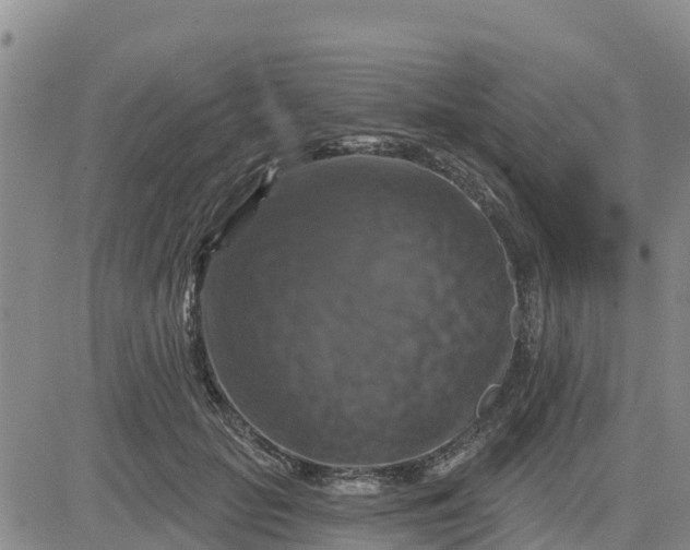 X0000080690653200612301450