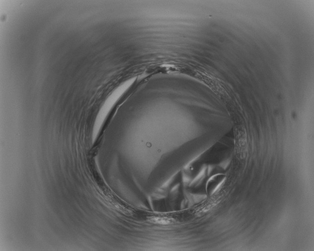 X0000080690654200612301450