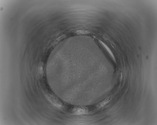 X0000080690655200612301451