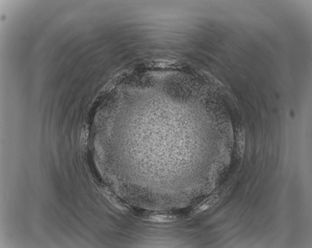 X0000080690657200612301451