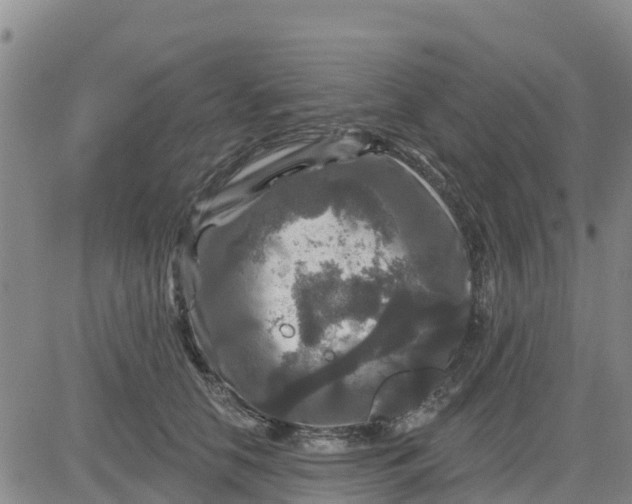 X0000080690658200612301451