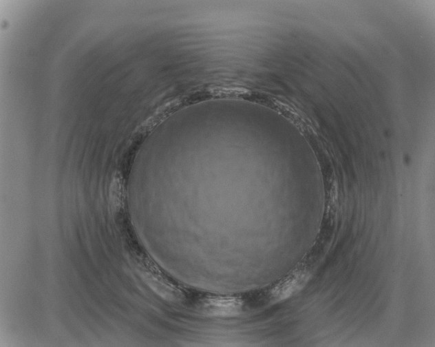 X0000080690659200612301451