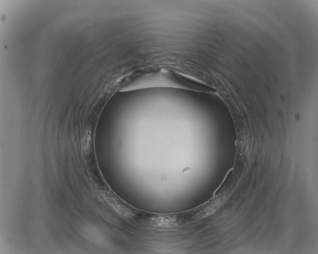 X0000080690660200612301451