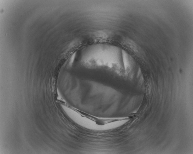 X0000080690661200612301451