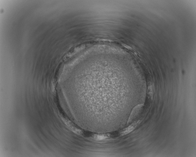 X0000080690662200612301451