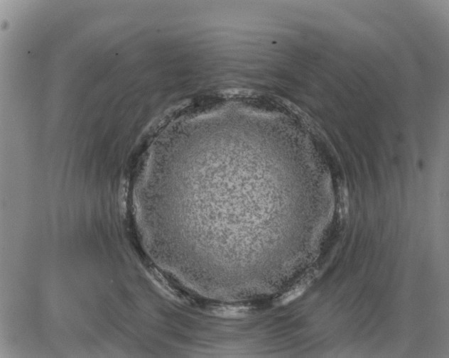 X0000080690664200612301451