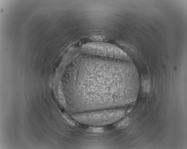 X0000080690665200612301451