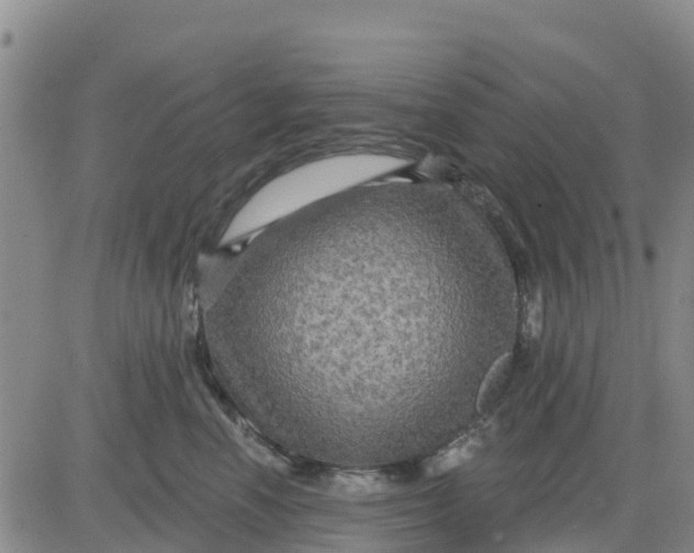 X0000080690666200612301451