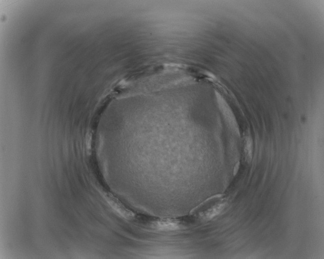 X0000080690668200612301451