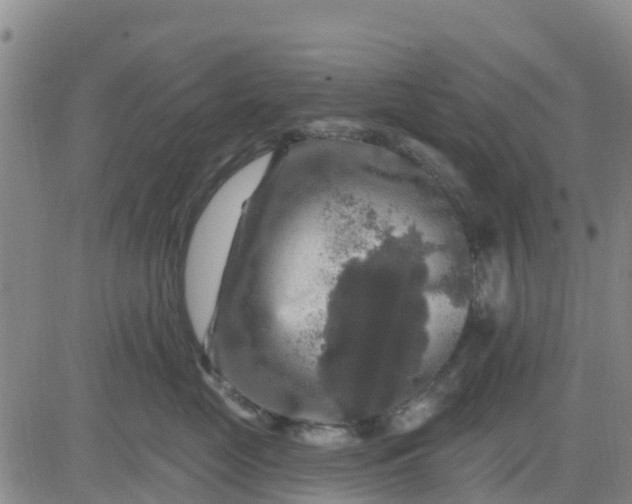 X0000080690669200612301451