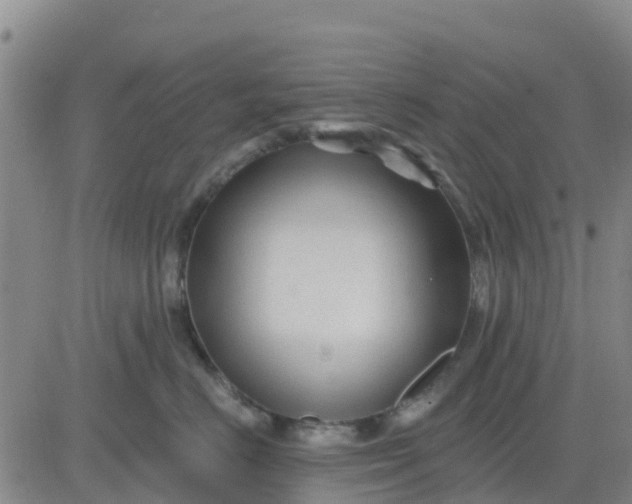 X0000080690670200612301451