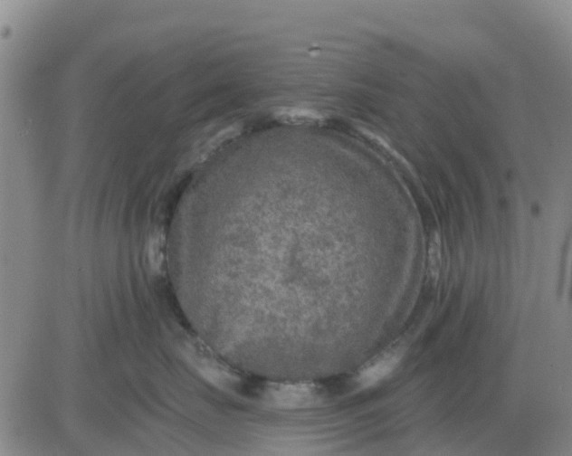 X0000080690671200612301451