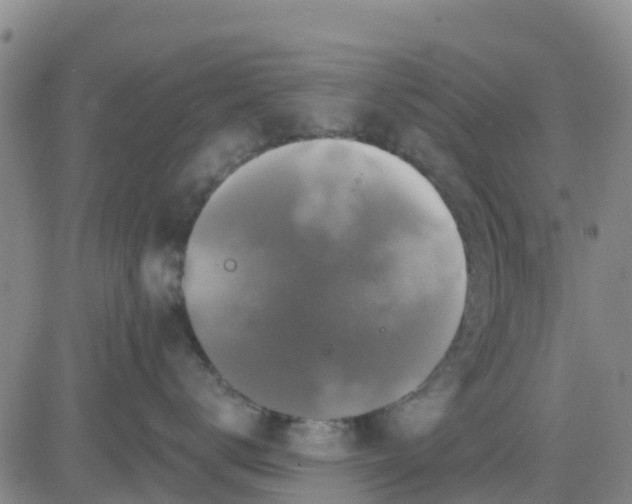 X0000080690672200612301451