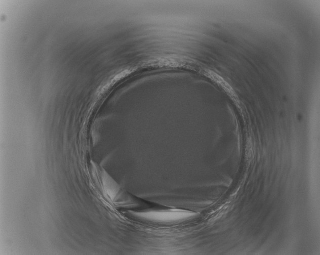 X0000080690673200612301450