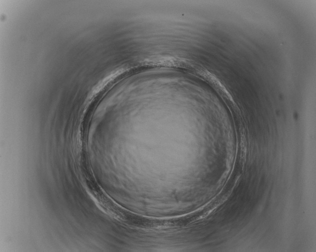 X0000080690674200612301450